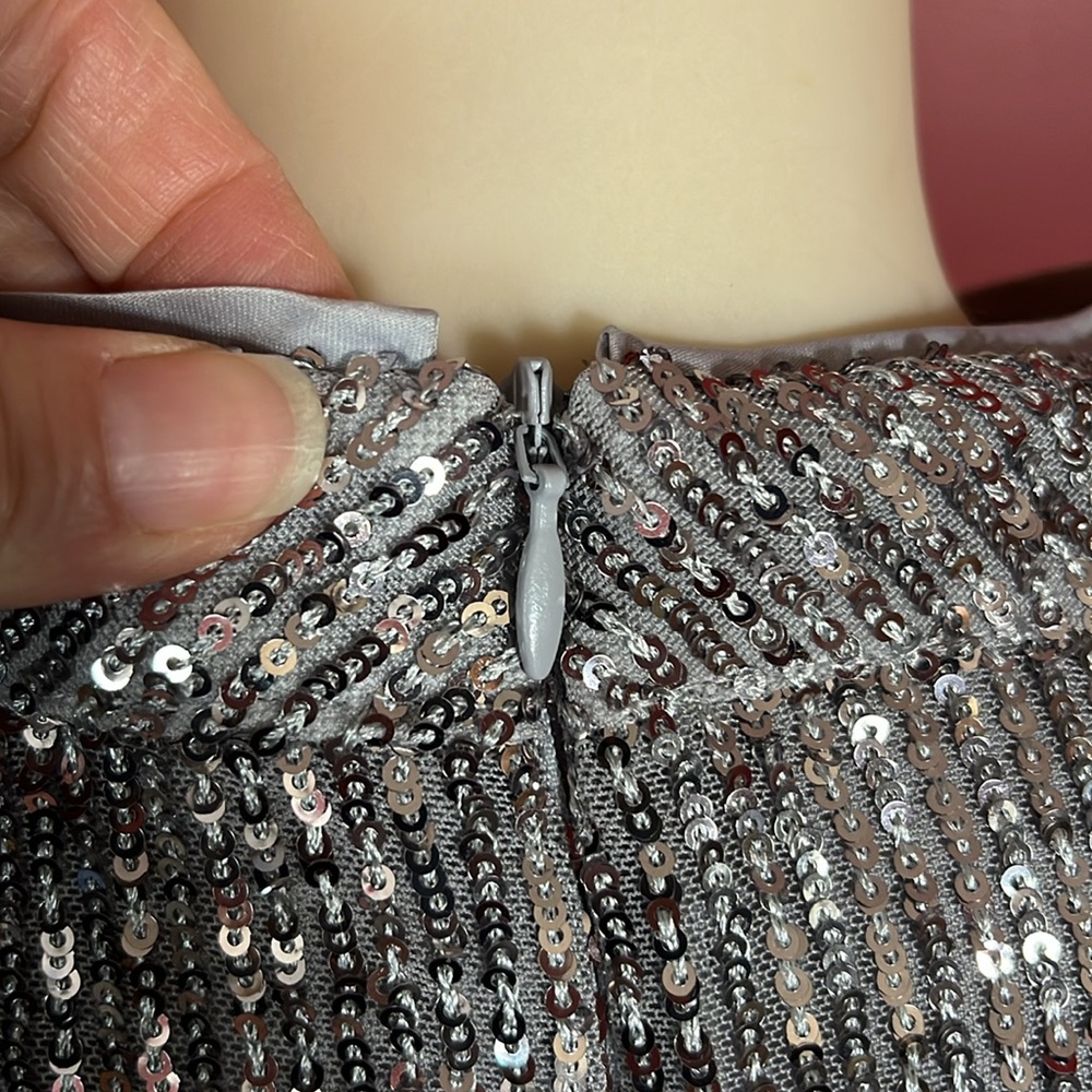 BNWOT Soft surroundings silver sparkly, long sleeve, formal lined top - Picture 7 of 16